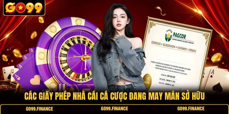cac giay phep nha cai ca cuoc dang may man so huu Các giấy phép nhà cái cá cược đang may mắn sở hữu