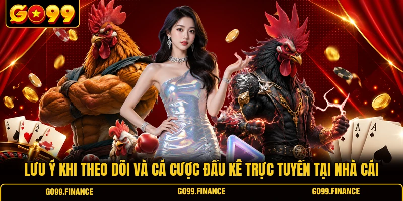 Lưu ý khi theo dõi và cá cược đấu kê trực tuyến tại nhà cái