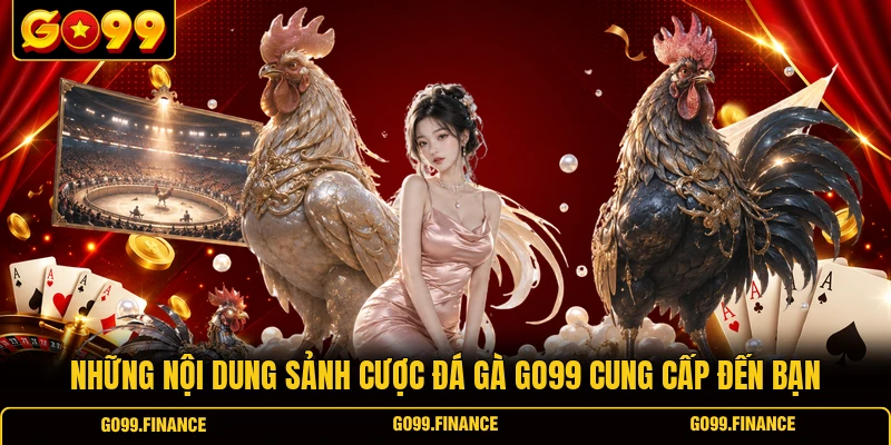 Những nội dung sảnh cược đá gà GO99 cung cấp đến bạn
