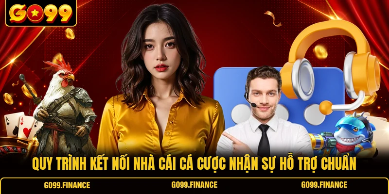 Quy trình kết nối nhà cái cá cược nhận sự hỗ trợ chuẩn