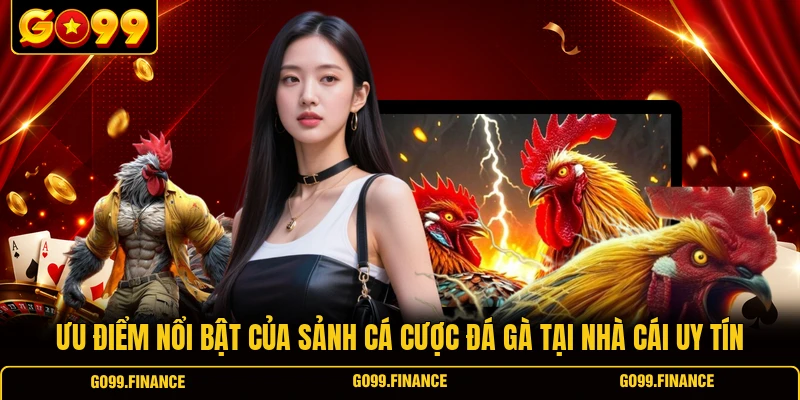 Ưu điểm nổi bật của sảnh cá cược đá gà tại nhà cái uy tín
